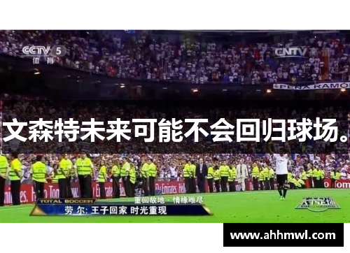 文森特未来可能不会回归球场。